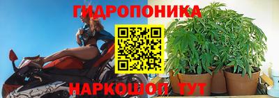 индика Краснодар